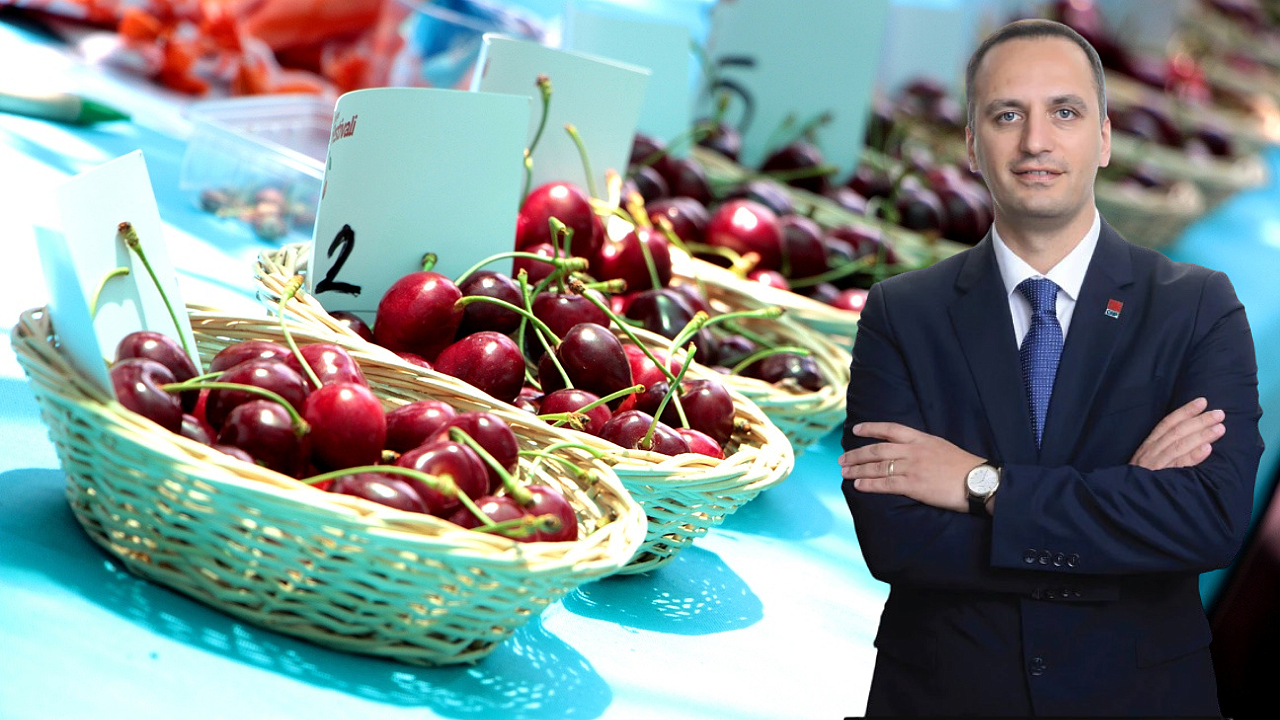 Bornova’da Kiraz Festivali heyecanı