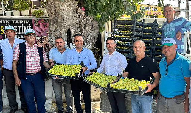 Çapak Bardacık İnciri ABD’ye gidecek Torbalı’nın İnciri, küresel pazarda yükseliyor