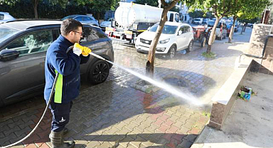 Efes Selçuk Sokaklarında Temizlik Harekâtı