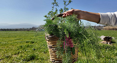Mart Dokuzu Geleneksel Urla Ot Bayramı Ertelendi