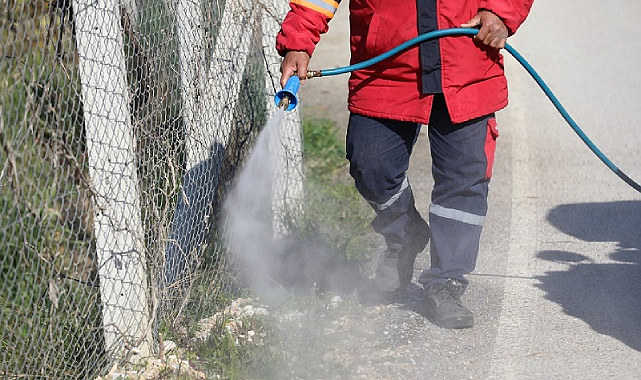 Menderes'teki Yabancı Ot Mücadelesinde İlk Etap