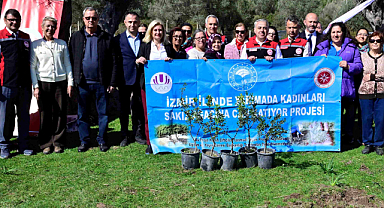 Urla'da Yeni Sakız Ağacı Fidan Dikimi