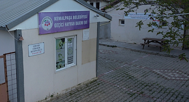 Başkan Türkmen'den Sokak Hayvanları Çağrısı
