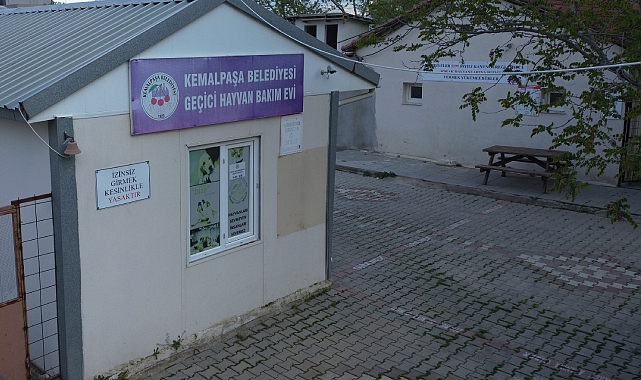 Başkan Türkmen'den Sokak Hayvanları Çağrısı