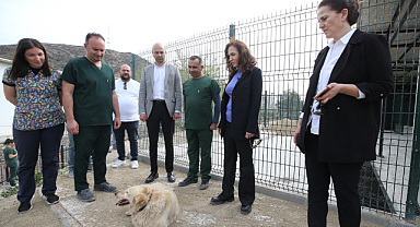 Karşıyaka'da Yeni Hayvan Yaşam Merkezi
