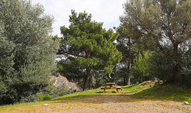 Karşıyaka Yamanlar Piknik Alanı Yeni Sezona Hazır