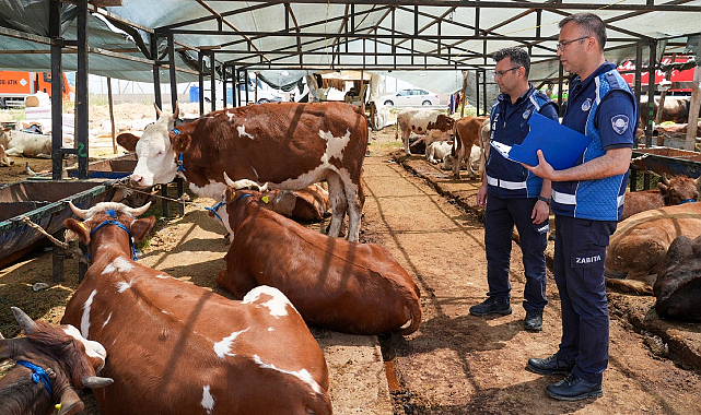 Gaziemir'de Kurban Satış Yerlerinde Sıkı Denetim