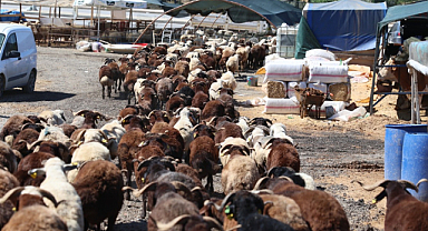 Karabağlar'da Kurban Bayramı Öncesi Yeni Uygulama
