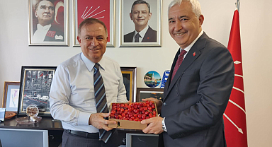 Kemalpaşa Belediye Başkanı Türkmen Ankara'da