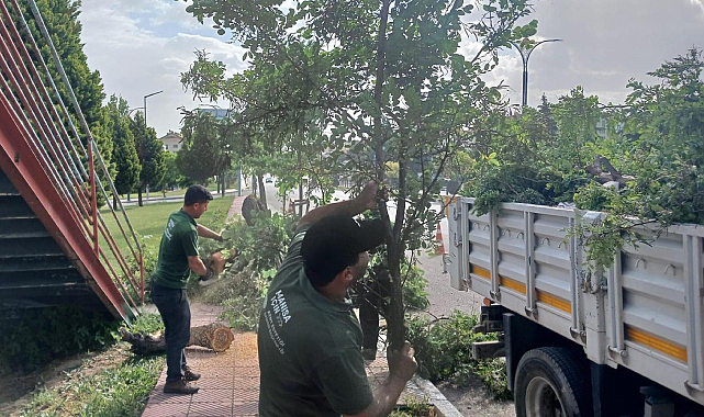 Manisa'da Fırtınanın Zarar Verdiği Ağaçlar Kaldırıldı