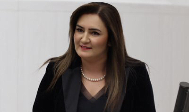 CHP İzmir Milletvekili Kılıç'tan Yangın Eleştirisi