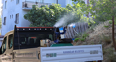 Karabağlar'da Haşerelere Karşı İlaçlama Seferberliği