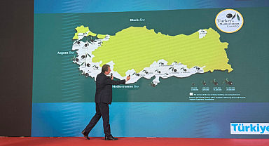 Hedef: Türkiye'den Çin'e 10 Bin Ton Zeytinyağı
