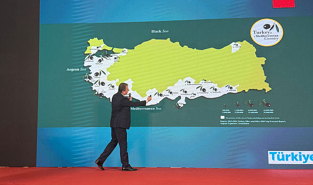 Hedef: Türkiye'den Çin'e 10 Bin Ton Zeytinyağı