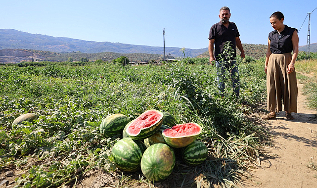 Efes Selçuk'ta Karpuz Üreticisine Destek Eli
