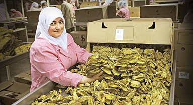 Ege'den Haziranda 3 Milyar 434 Milyon Dolar İhracat
