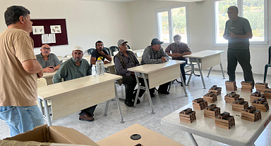 Manisa Büyükşehir'den Arıcılara Ana Arı Desteği