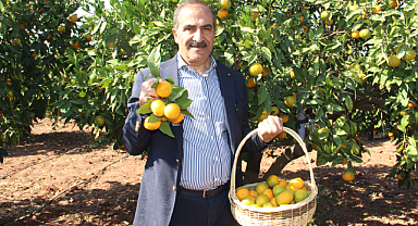 Ege Bölgesi Narenciye Rekoltesinde %34'lük Azalış