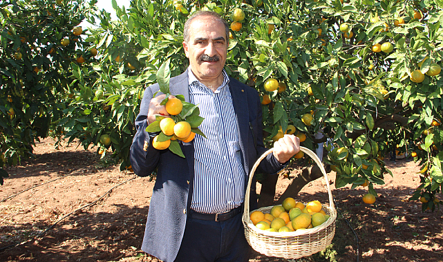 Ege Bölgesi Narenciye Rekoltesinde %34'lük Azalış