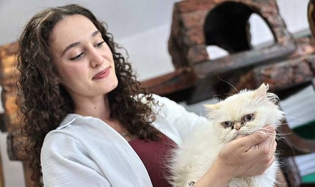 Konak'ın Patili Dostları Yeni Yuvalarını Bekliyor