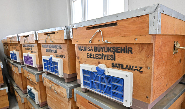 Manisa Büyükşehir'den Kırkağaçlı Kadınlara Arıcılık Desteği