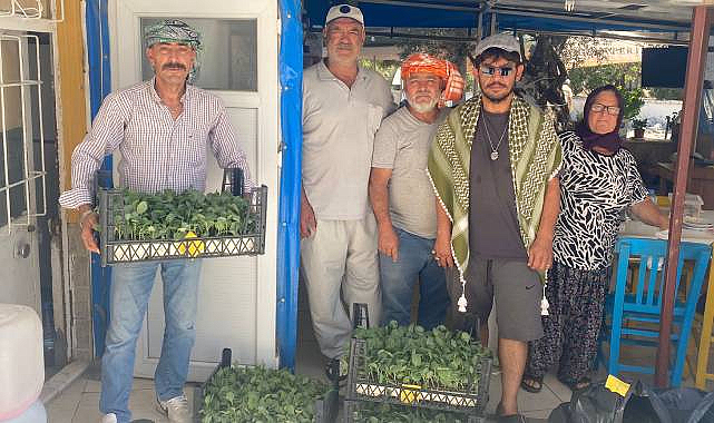 Urla Belediyesi'nden Üreticiye 50 Bin Sebze Fidesi
