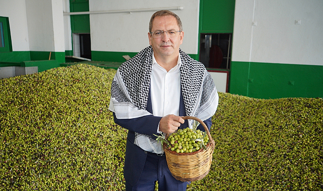 Ayvalık'ta 'Zeytin Hasat ve Turizm Festivali' Hazırlığı