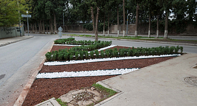 Buca'daki Park ve Refüjlerde Hummalı Çalışma