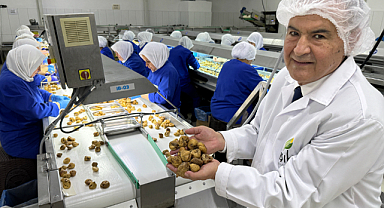 Türk Kuru İnciri İçin AB ile Brüksel'de Temas