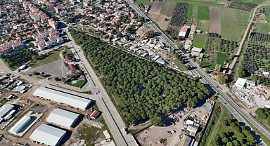 Ayvalık Altınova Mesire Alanı Açıldı