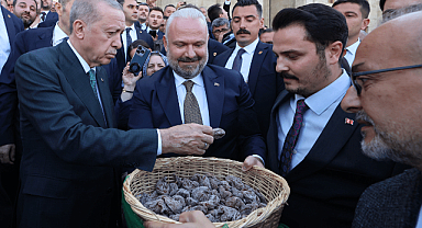 Başkan Pehlivan'dan Cumhurbaşkanı Erdoğan'a İncir İkramı