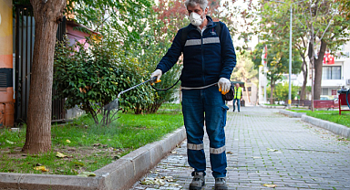 Karşıyaka'da Haşerelere Karşı Kararlı Çalışma
