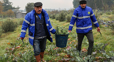 Buca Belediyesi'nden Mevsim Sebzesi Üretimi