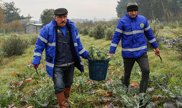 Buca Belediyesi'nden Mevsim Sebzesi Üretimi