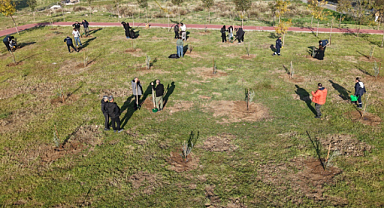 Karşıyaka'da Zeytin Fidanları Toprakla Buluştu