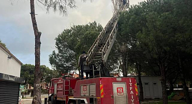 Ayvalık Belediyesi Ekiplerinden Kış Sezonu Çalışmaları