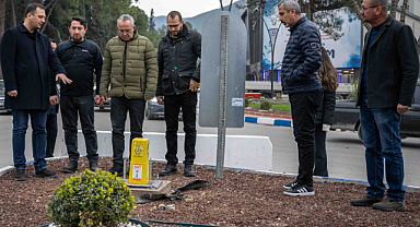 Bornova Belediyesi'nde Çalı, Zeytin Fidanı ve Süs Bitkisi Üretimi