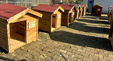 Seferihisar'da Sokak Hayvanlarına Kulübe Desteği