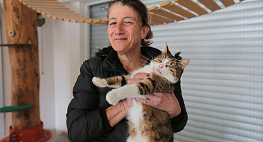 Dünya Kediler Günü'nde Engelli Kedi Evi'ne Ziyaret