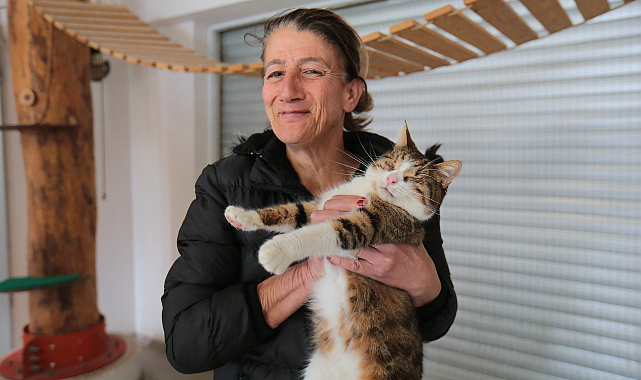 Dünya Kediler Günü'nde Engelli Kedi Evi'ne Ziyaret