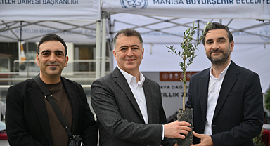 Manisa'da 1 Kilo Pile, 1 Zeytin Fidanı