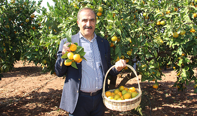 Yaş Meyve Sebze İhracatında İlk Çeyrekte 1 Milyar Dolar Aşıldı