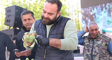 12. Uluslararası Urla Enginar Festivali'nde 'Enginar Soyma' Yarışması