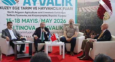 Ayvalık'ta Zeytin Üretim Zirvesi