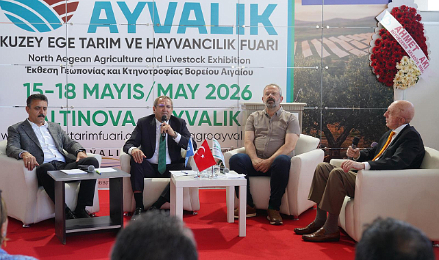 Ayvalık'ta Zeytin Üretim Zirvesi
