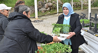 Bornova Belediyesi'nden 150 Bin Yazlık Fide Dağıtımı