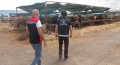 Çiğli'de Kurban Bayramı Denetimleri Sürüyor