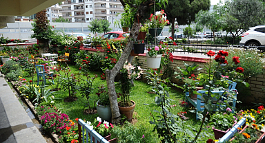 Karşıyaka Çiçek Festivali İçin Geri Sayım Başladı