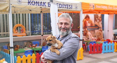 Konak'ta 11 Sokak Hayvanı İçin Yeni Yuva
