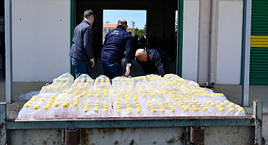 Manisa'da 'Kanadı Noktalı Sirke Sineği'ne Karşı 160 Bin Adet Elma Sirkesi